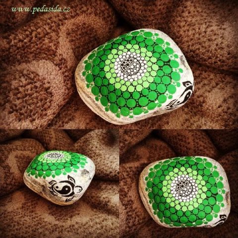 Kámen – “Želví svět – Mandala”